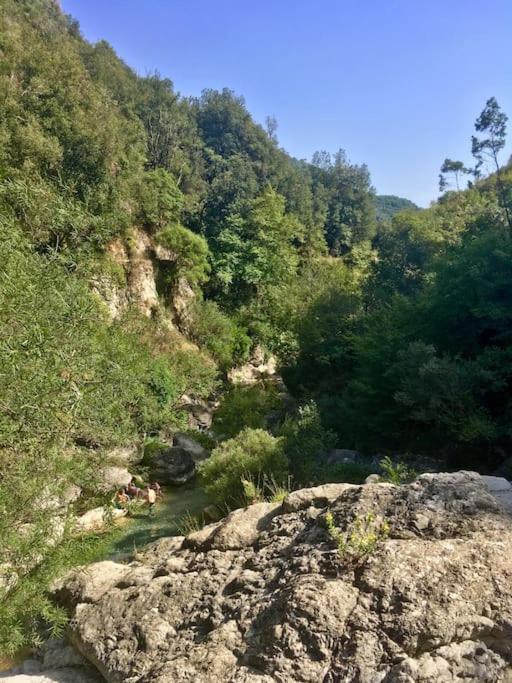 Casa Bertagna Daire Rocchetta Nervina Dış mekan fotoğraf